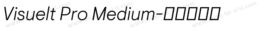 Visuelt Pro Medium字体转换